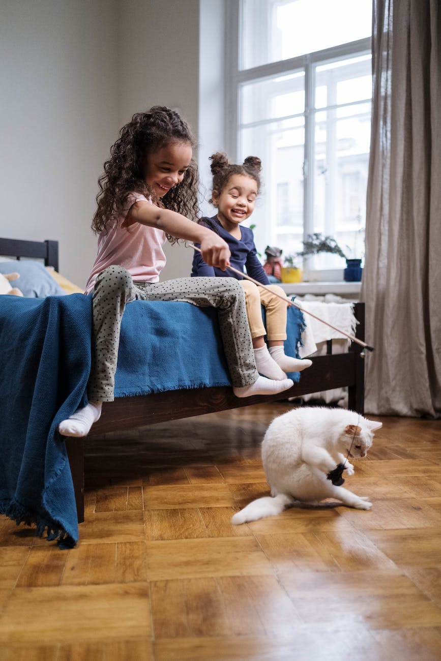 kids playing with white cat