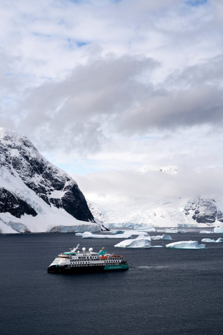 ferry swimming in a mountain valley in winter