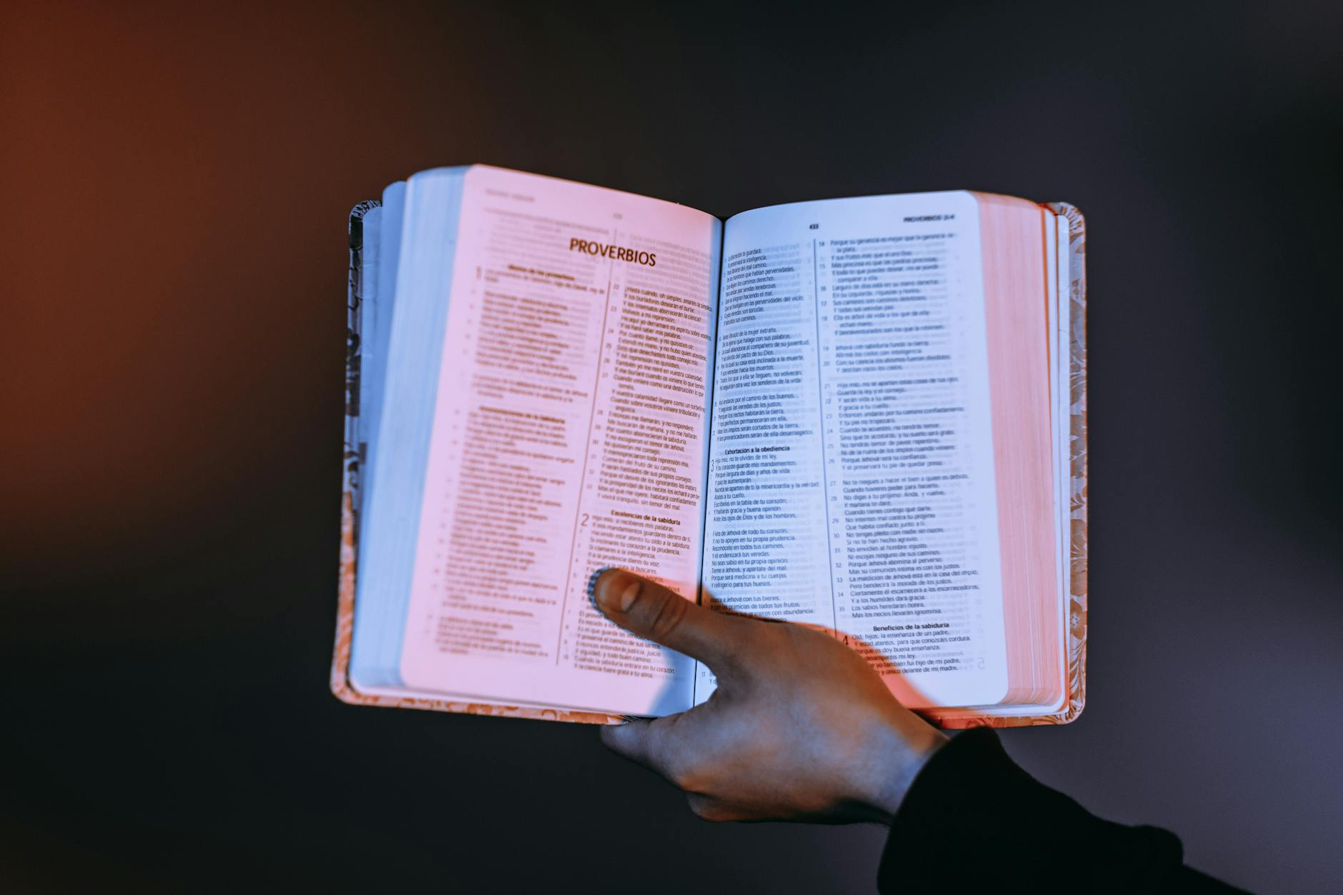 person holding a bible