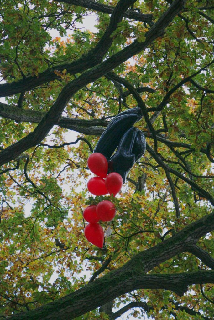 balloons on tree