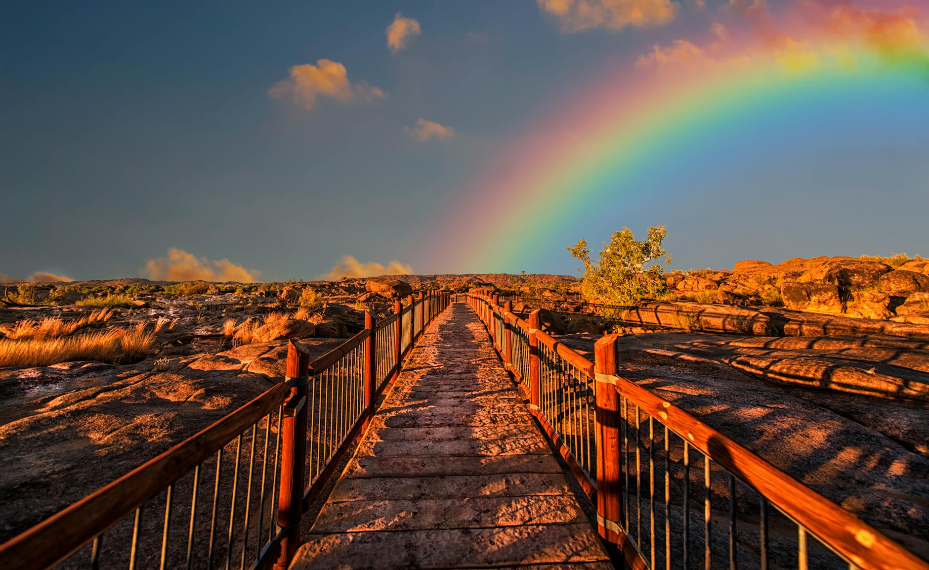 rainbow