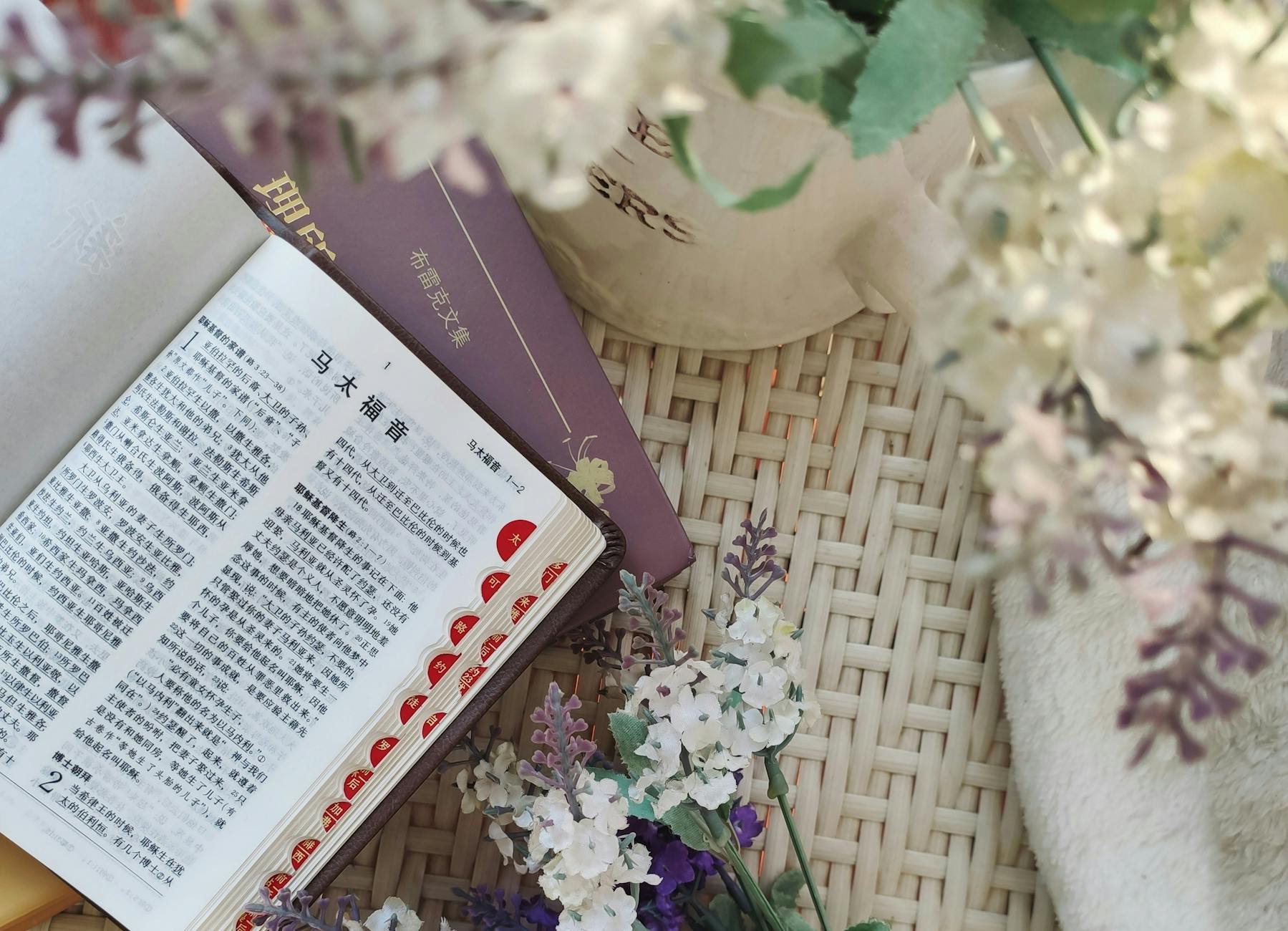 bible in chinese on table